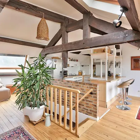 Rustic Bohemian Duplex In Apartment Meudon